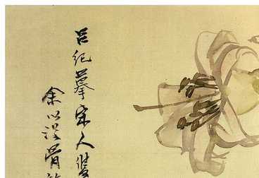 mysql查看刪除數據庫 |mysql invalid drive