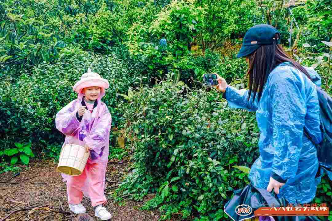 1696817966112404.jpg 77.jpg