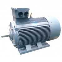YE2高效節能電機 - 西安西瑪電機